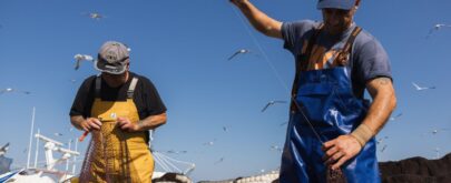 sostenibilidad en la pesca