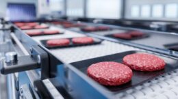 envases sostenibles e inteligentes hechos a partir de madera