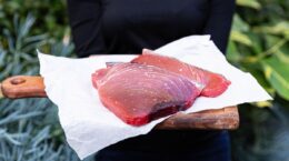 túnidos tropicales pesca sostenible