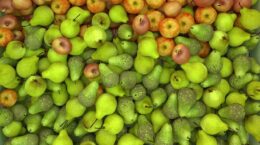 Peras vista desde arriba