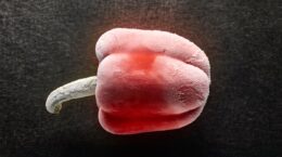 ultracongelación y nutrientes