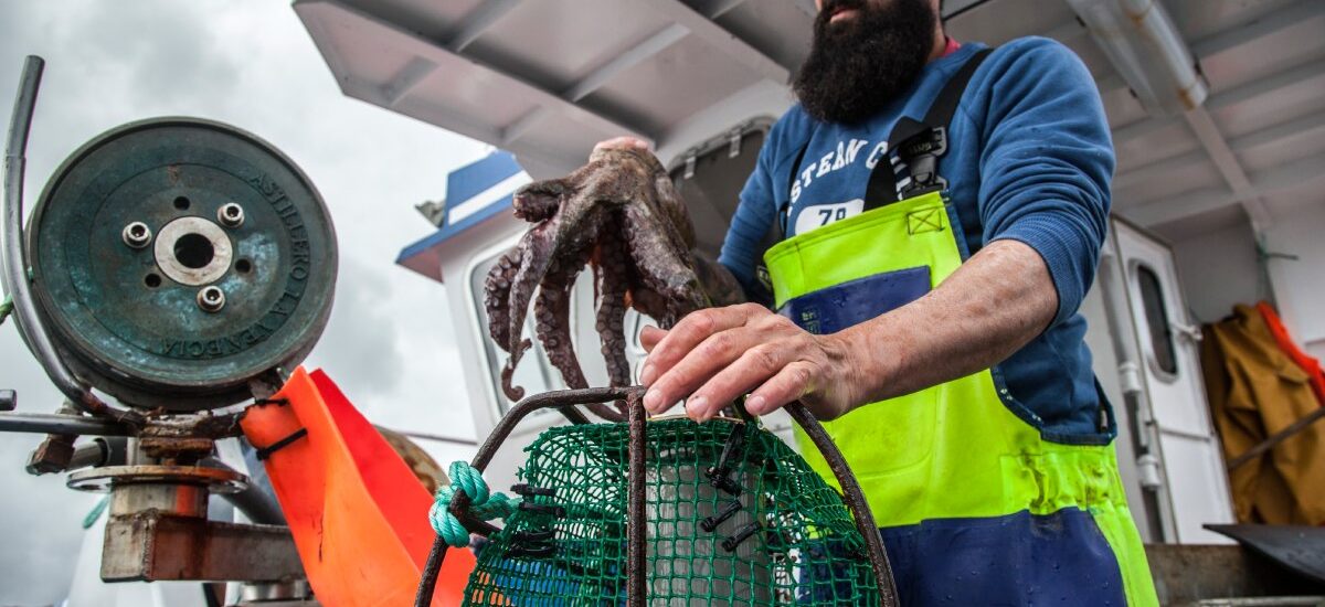 avances pesca sostenible