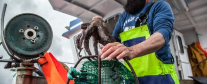 avances pesca sostenible