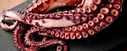 cómo elegir un pulpo y prepararlo