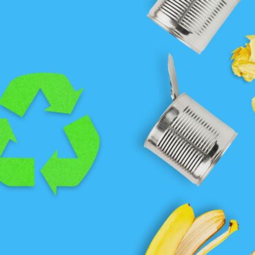 técnicas para el upcycling de alimentos
