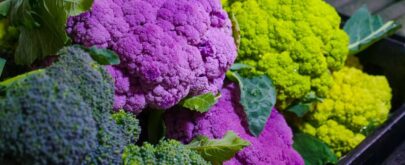 verduras crucíferas variedad