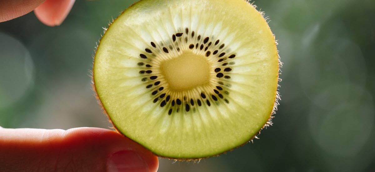 propiedades del kiwi y beneficios