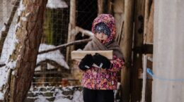 ucrania cuatro años de guerra invierno