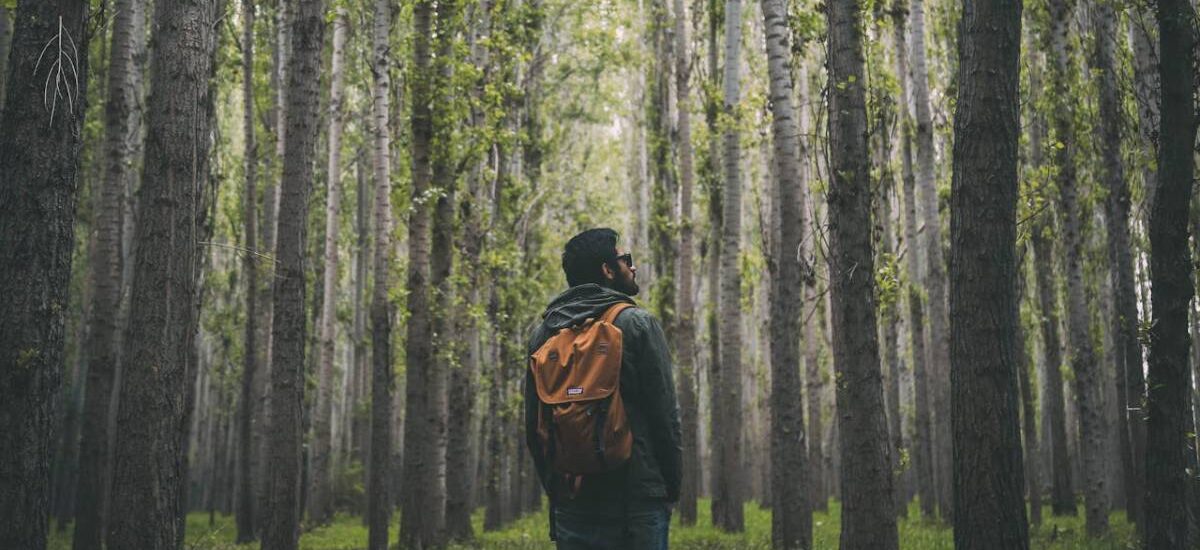 andar naturaleza