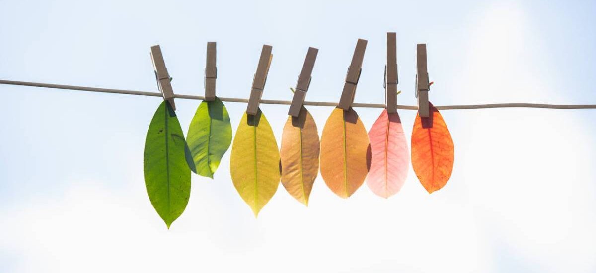 lavado verde blanqueo ecológico