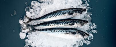 qué pescado está de temporada en primavera