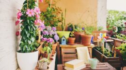 cómo hacer un oasis de mariposas en el balcón