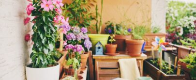 cómo hacer un oasis de mariposas en el balcón