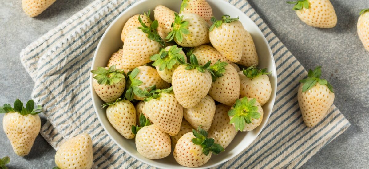 sabor de las fresas blancas
