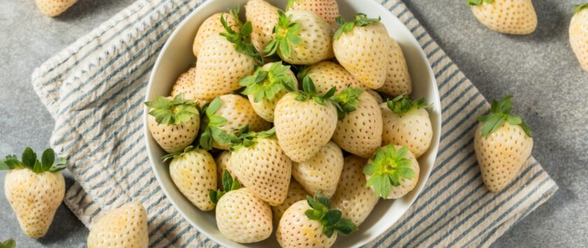 sabor de las fresas blancas