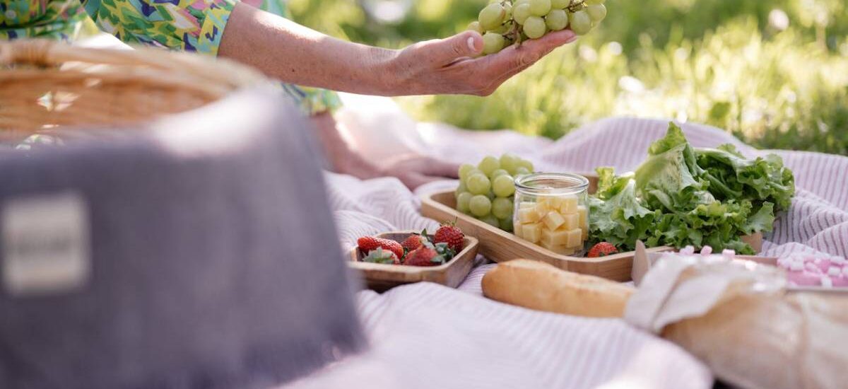 organizar picnic