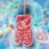 efectos de los antibióticos en la microbiota