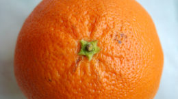 Img naranja