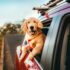 viajar perro UE