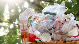 envases alimentarios y contaminación