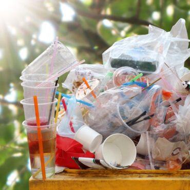 envases alimentarios y contaminación