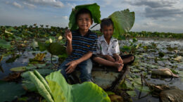 infancia expuesta a crisis climática