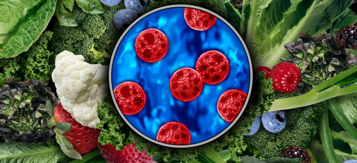 ciclosporiasis prevención