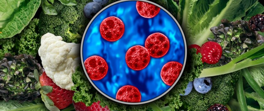 ciclosporiasis prevención