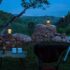 picnic nocturno para ver estrellas
