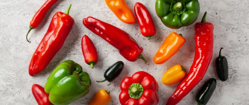 variedades y usos de los pimientos