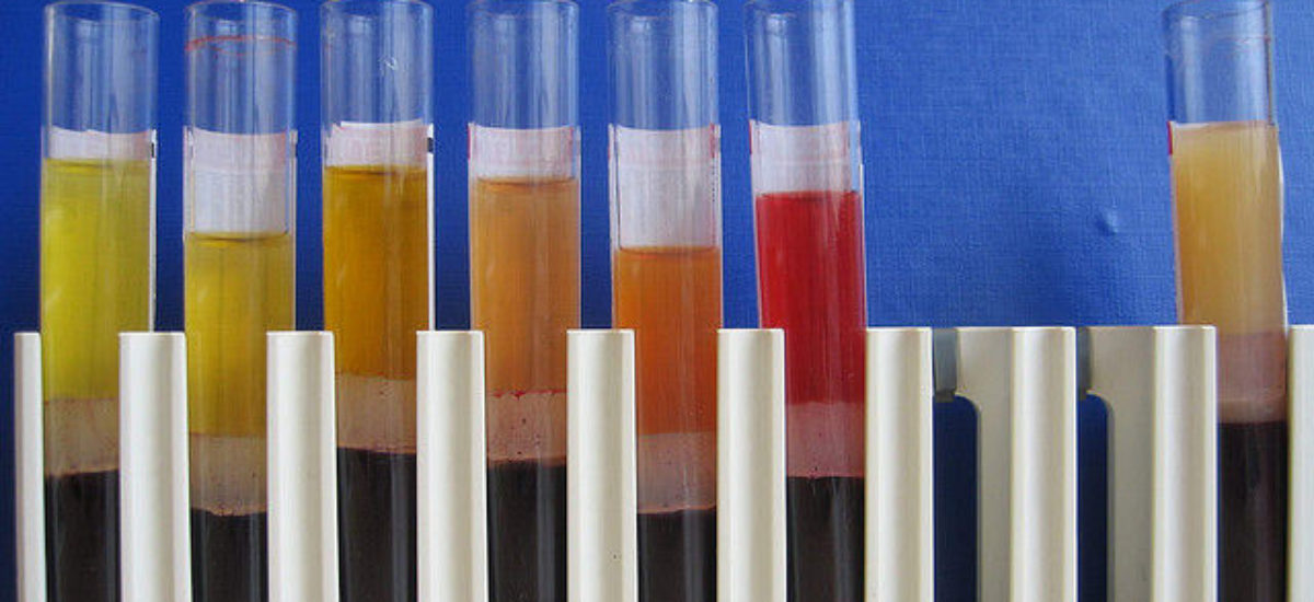 Img nanotejidos muestras