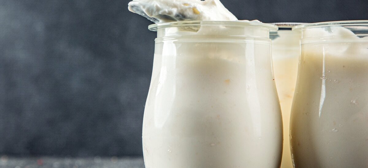 qué es el skyr