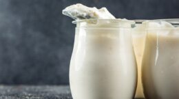 qué es el skyr