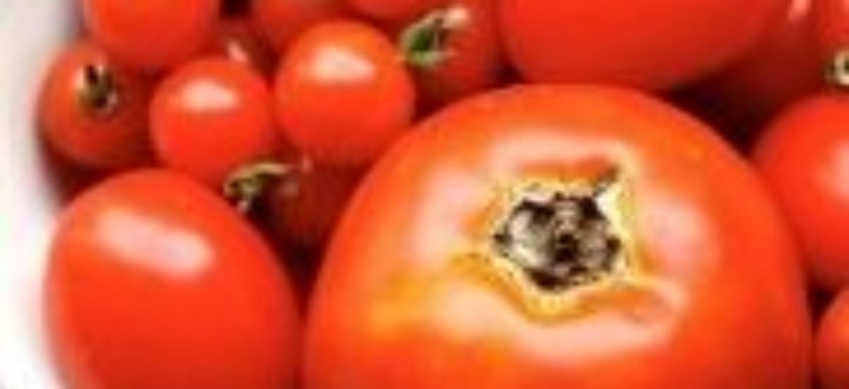 Img tomates listado