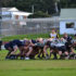 Img rugby