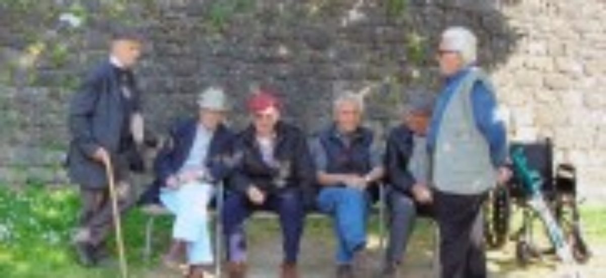 img_luxacion-protesis.list_ Img luxacion protesis list