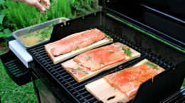 Img salmon bbq hd