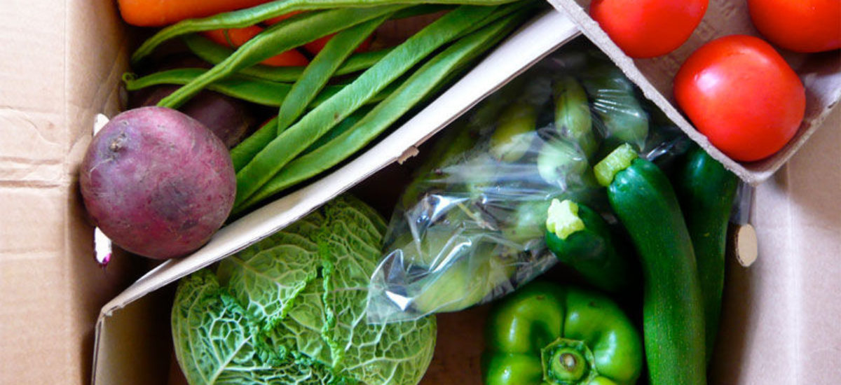 Img carton verduras