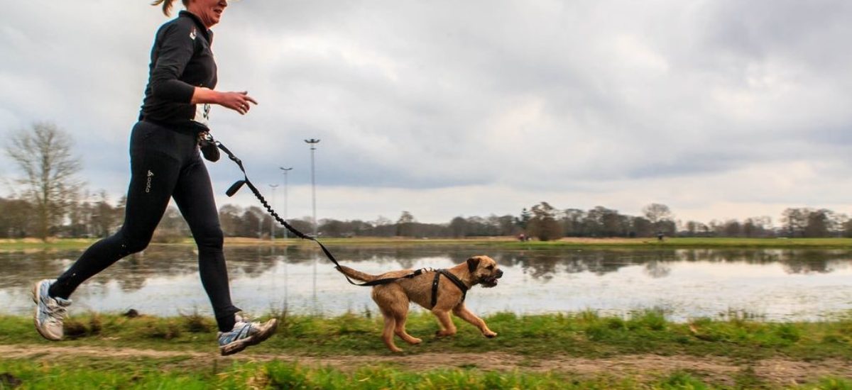 img_correr-perros-como Img correr perros como
