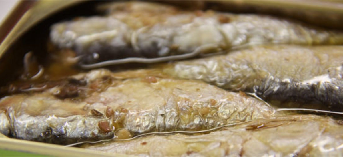 img_sardinas Img sardinas