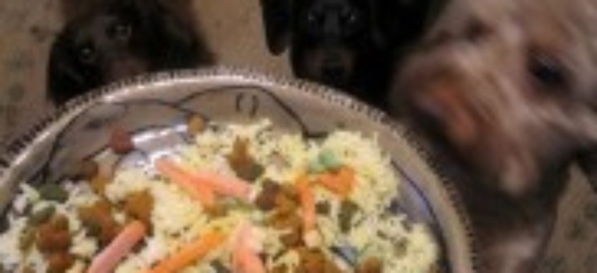 Cocina light para perros: cinco Consumer