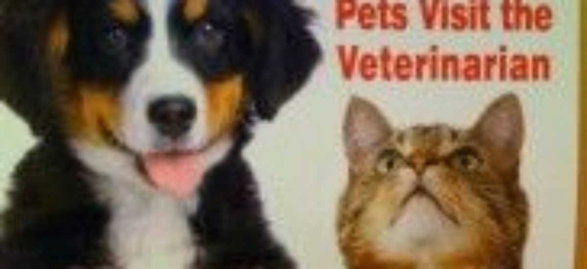 Img perros gatos donan sangre veterinario listado