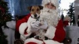 Img regalos perro navidad santa ideas listado jpg