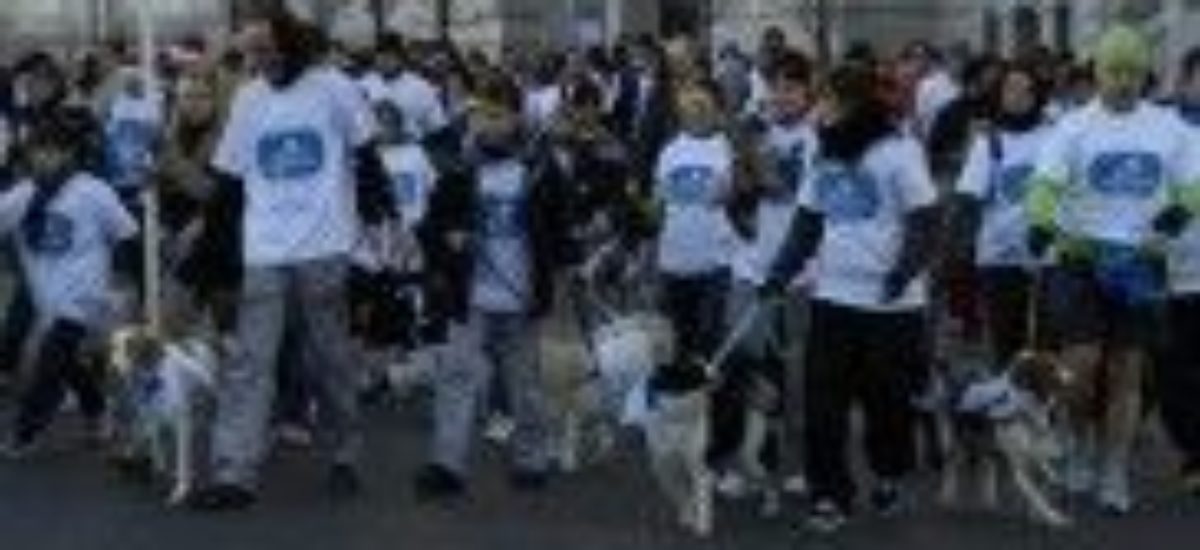 Img sanperrestre defensa animal carrera madrid perros listado