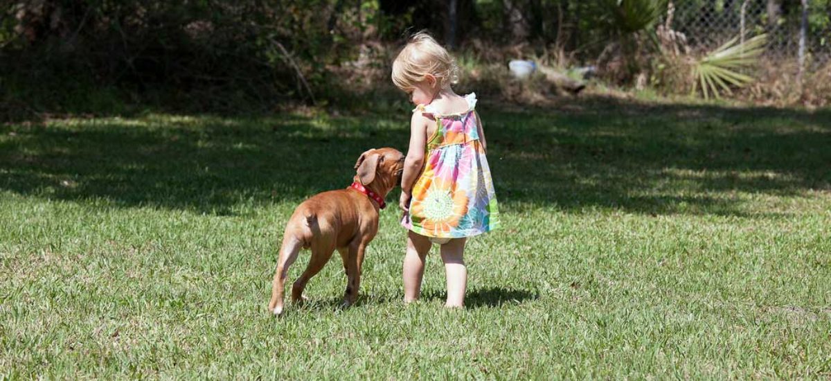 img_nina-perro-1 Img nina perro