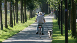 Img abuelo bici