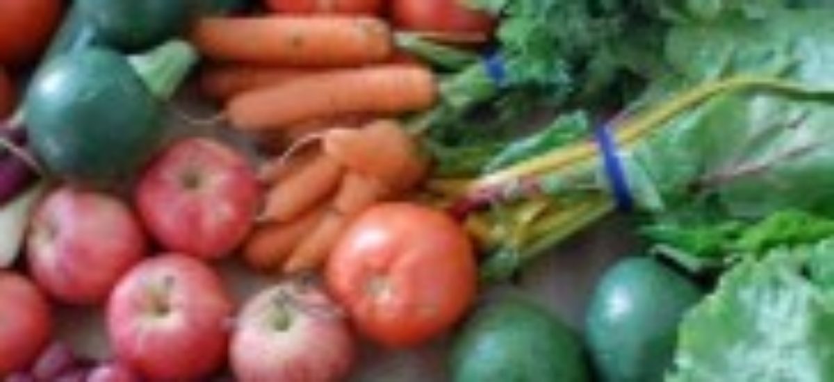 img_vegetales-frutas.list_ Img vegetales frutas list