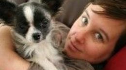 Img perros embarazadas beneficios salus mujeres animales mascotas listado