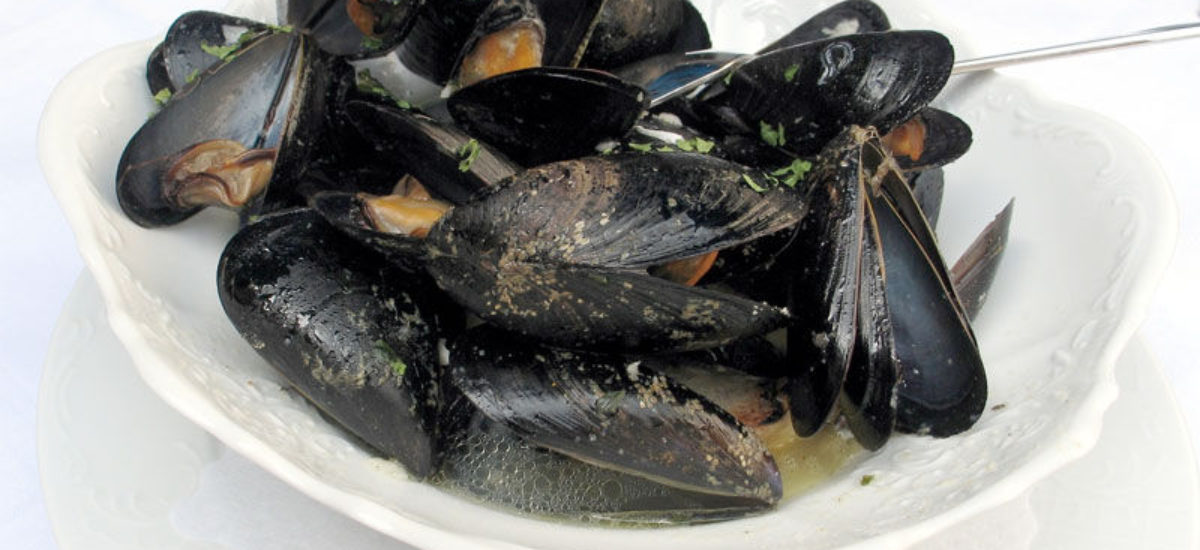img_mejillones-3 Img mejillones
