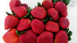 Img caja fresas2 hd